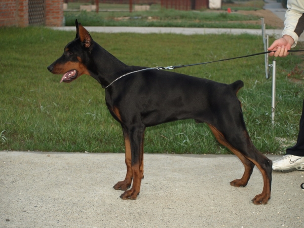 Action Betelges_ 5 months old.jpg